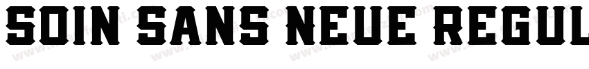 Soin Sans Neue Regul字体转换